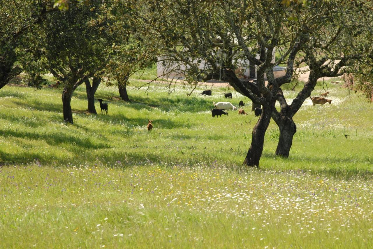 Casa Da Aldeia II Villa Alcaria Ruiva Dış mekan fotoğraf
